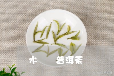 水溫 普洱茶/2023042778863